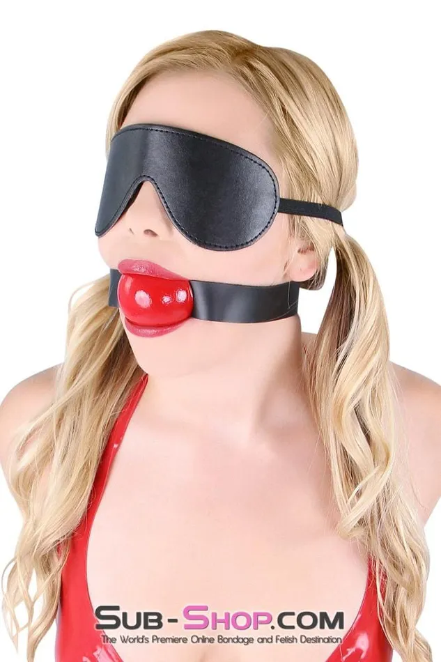 8929DL Lovers Games Bondage Mask Blindfold MEGA Deal Idea Couples