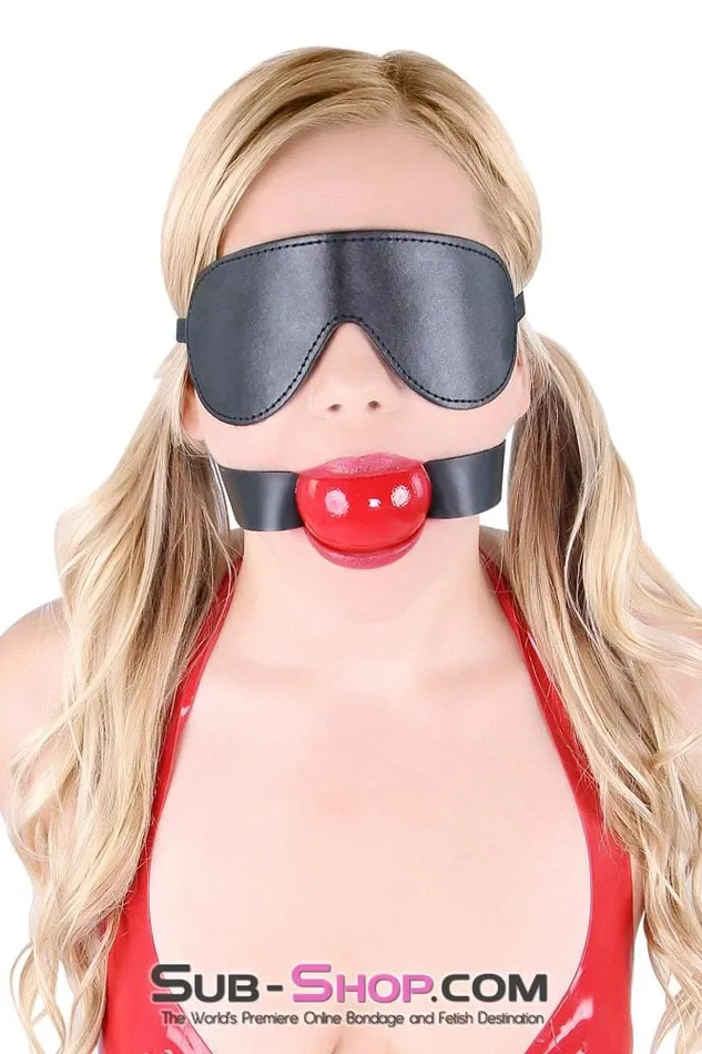 8929DL Lovers Games Bondage Mask Blindfold MEGA Deal Idea Couples