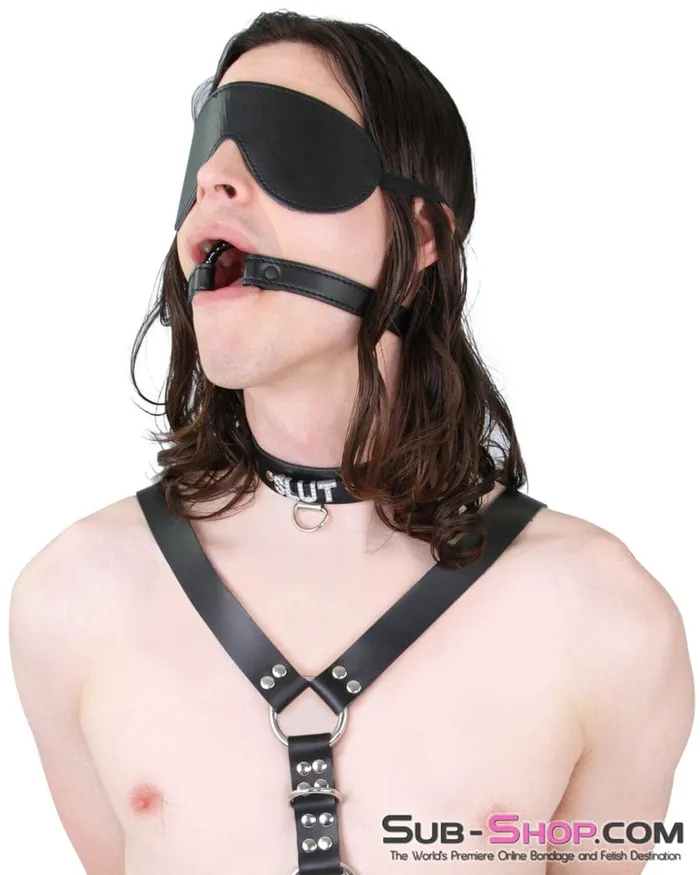 8929DL Lovers Games Bondage Mask Blindfold MEGA Deal Idea Couples