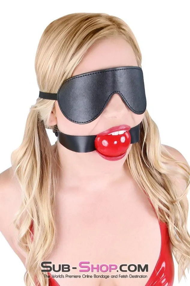 8929DL Lovers Games Bondage Mask Blindfold MEGA Deal Idea Couples