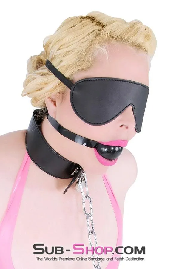 8929DL Lovers Games Bondage Mask Blindfold MEGA Deal Idea Couples
