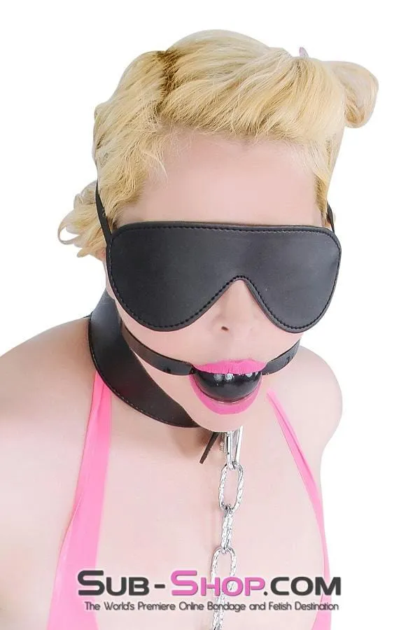 8929DL Lovers Games Bondage Mask Blindfold MEGA Deal Idea Couples