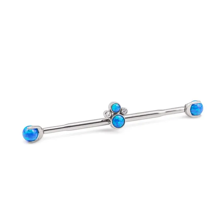 Tilum Tilum 14g 38mm Titanium Internally Threaded Straight Barbell Shaft with One Internal 12mm Threaded Center Hole Price Per 1 Female Sex Toys