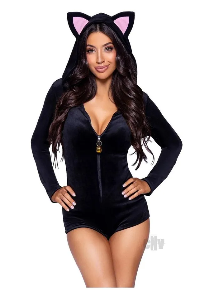 Comfy Cat Md Black Fairvillacom Anal