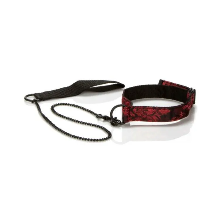 Couples Scandal Submissive Kit Fairvillacom