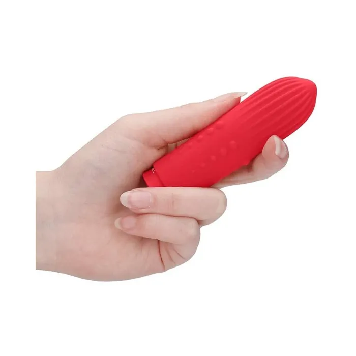 Elegance Lush Turbo Rechargeable Bullet Red Fairvillacom Vibrators