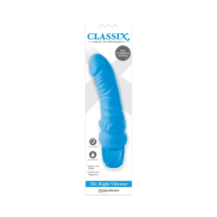 Fairvillacom Classix Mr Right Vibrator Purple Vibrators