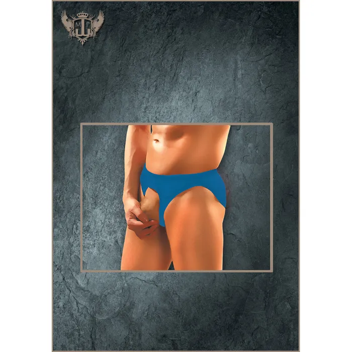 Fairvillacom Female Sex Toys Nylon Spandex Pouchless Brief Royal One Size