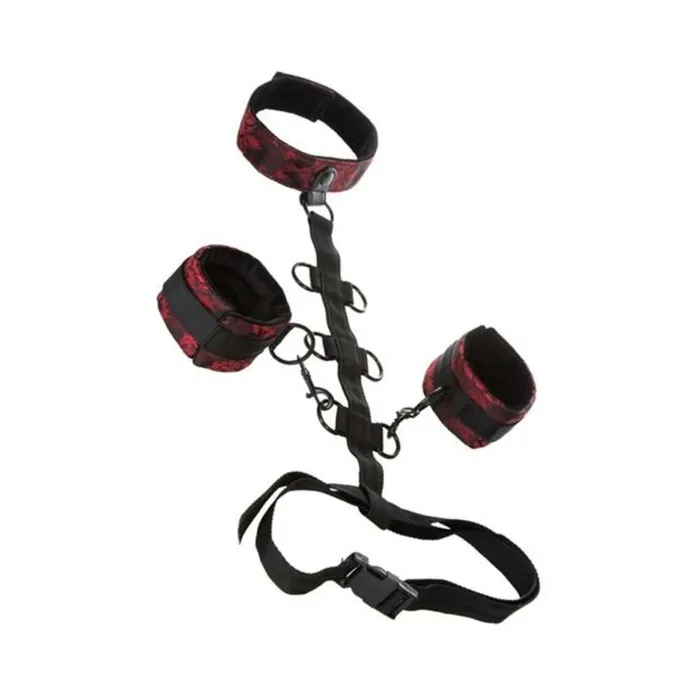 Fairvillacom Female Sex Toys Scandal Collar Body Restraint