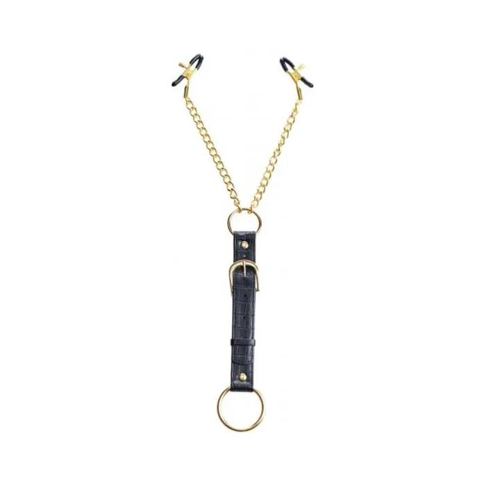 Fairvillacom Male Sex Toys Penitentiary Nipple Clamps And Cock Ring Set