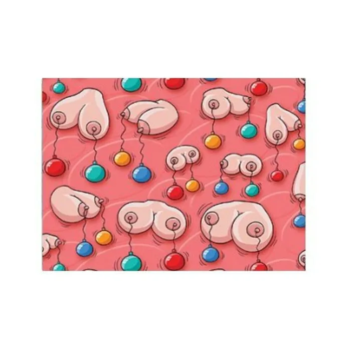 Fairvillacom Vibrators Gift Wrap Willy Pecker