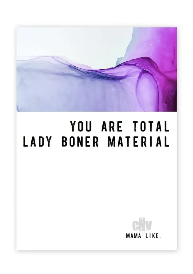 Fairvillacom Vibrators Lady Boner Greeting Card
