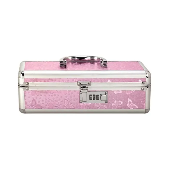 Fairvillacom Vibrators Lockable Vibe Case Pink