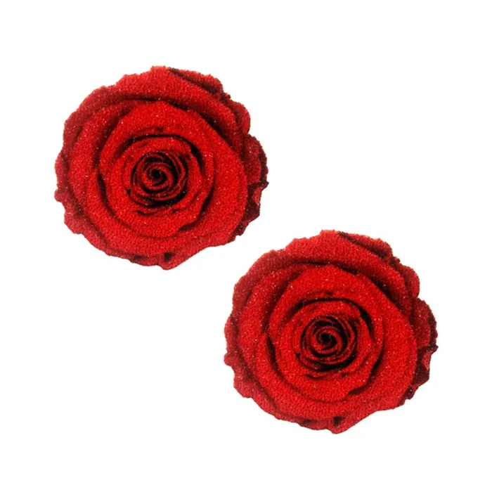 Fairvillacom Vibrators Neva Nude Pasties Enchanted Red Rose Glitter Velvet