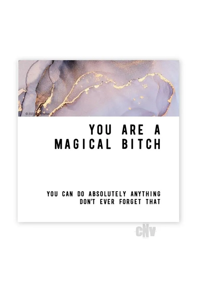Magical Bitch Magnet Fairvillacom Vibrators