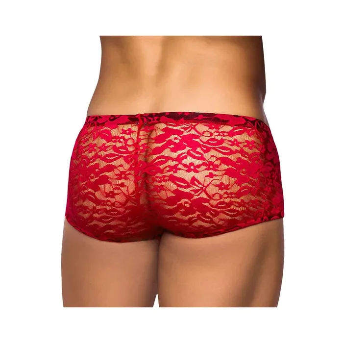 Male Sex Toys Fairvillacom Male Power Stretch Lace Mini Short Red Xlarge