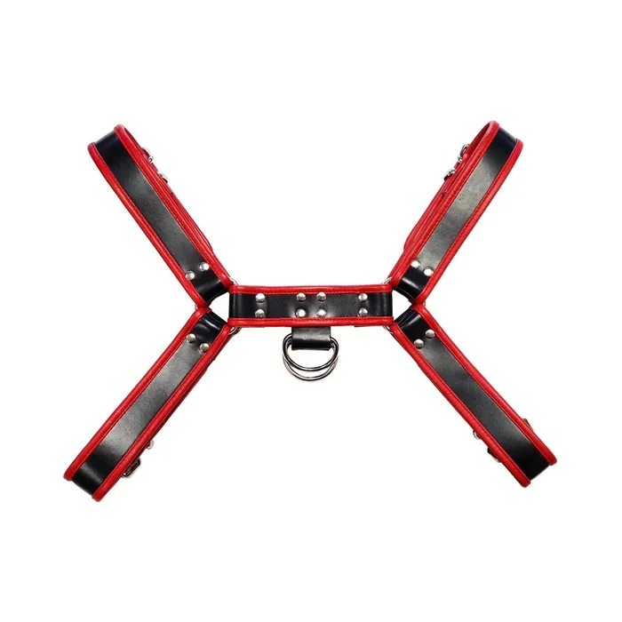 Oth Leather Harness Black With Red Accessories Size Extra Large Fairvillacom Mens Underwear Oth Leather Harness Black With Red Accessories Size Extra Large Fairvillacom Mens Underwear