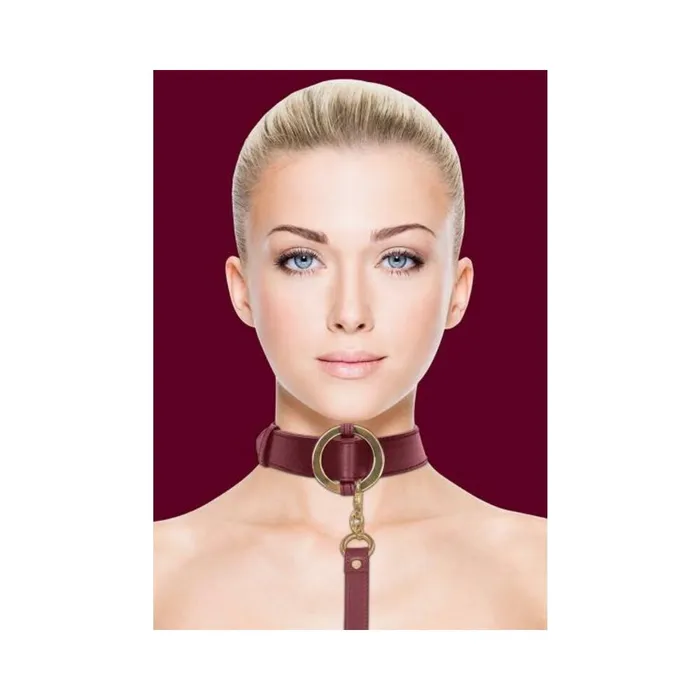 Ouch Halo Collar With Leash Burgundy Fairvillacom Couples
