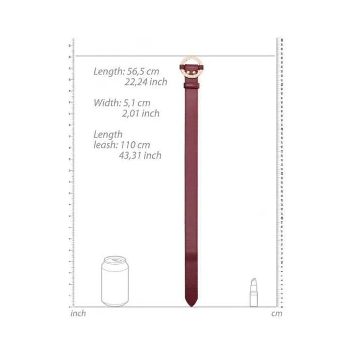 Ouch Halo Collar With Leash Burgundy Fairvillacom Couples
