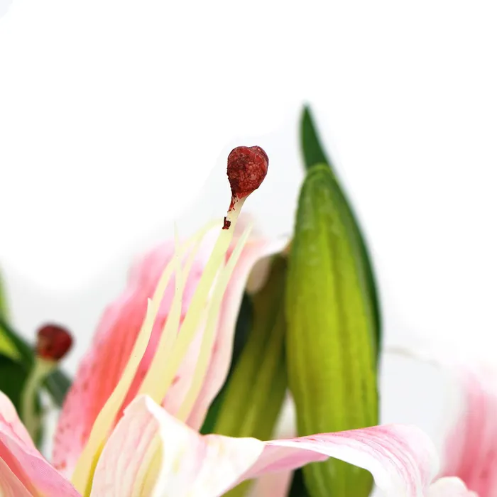 Premium Faux Pink Lily In Glass Vase Artificial Tiger Lily Arrangement ShhhSof Dildos