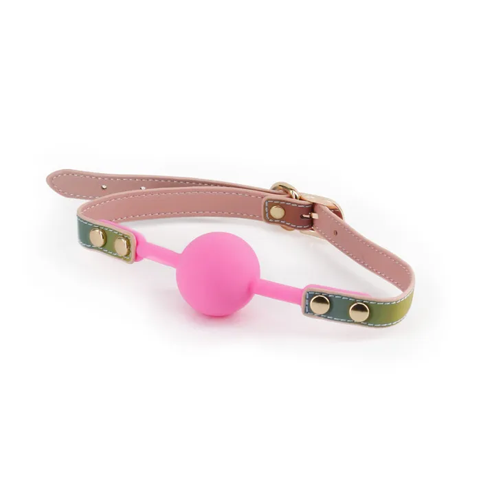 ShhhWndsr Couples Spectra Bondage Ballgag Rainbow