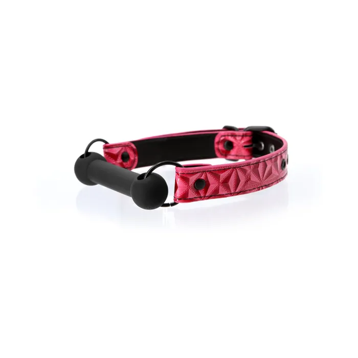 Sinful Bar Gag Fairvillacom Vibrators