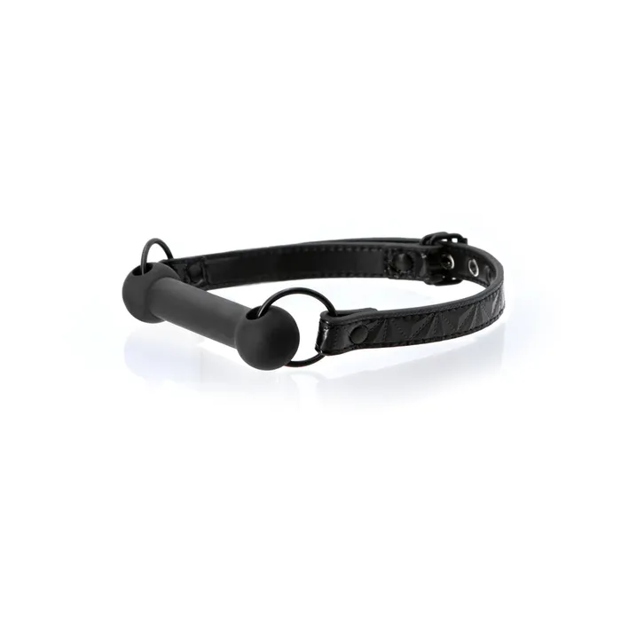 Sinful Bar Gag Fairvillacom Vibrators