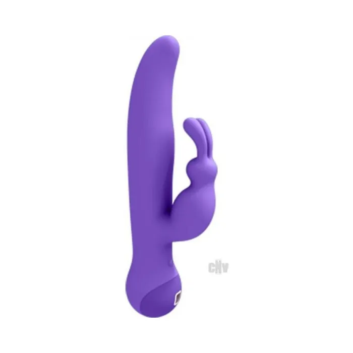 Touch By Swan Duo Rabbit Style Vibrator Purple Fairvillacom Vibrators