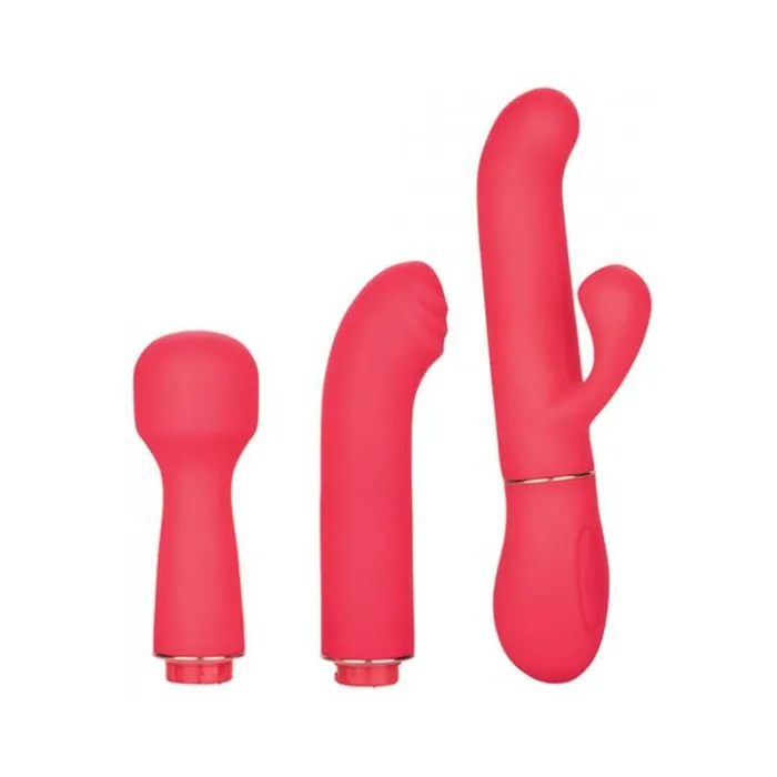Vibrators Fairvillacom In Touch Passion Trio Pink Vibrator Kit