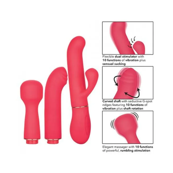 Vibrators Fairvillacom In Touch Passion Trio Pink Vibrator Kit Vibrators Fairvillacom In Touch Passion Trio Pink Vibrator Kit