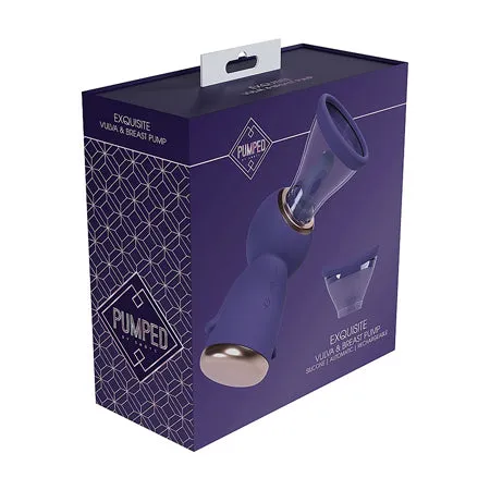 Vibrators Fairvillacom Pumped Exquisite Automatic Rechargeable Vulva Breast Pump Purple