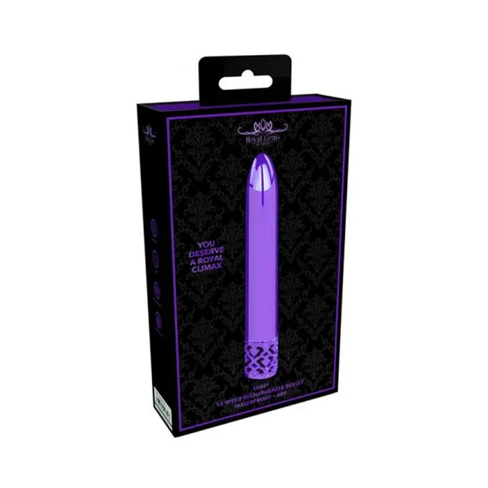 Vibrators Royal Gems Shiny Abs Rechargeable Bullet Purple Fairvillacom